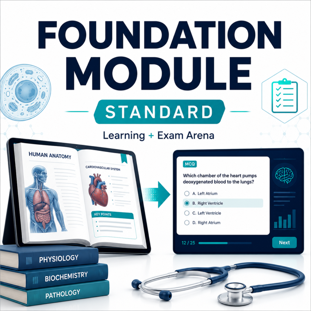 Foundation Standard Bundle — Year 1