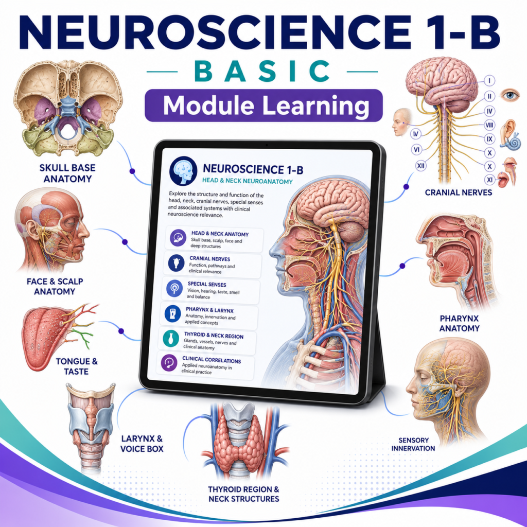 Neurosciences-1B Module Basic