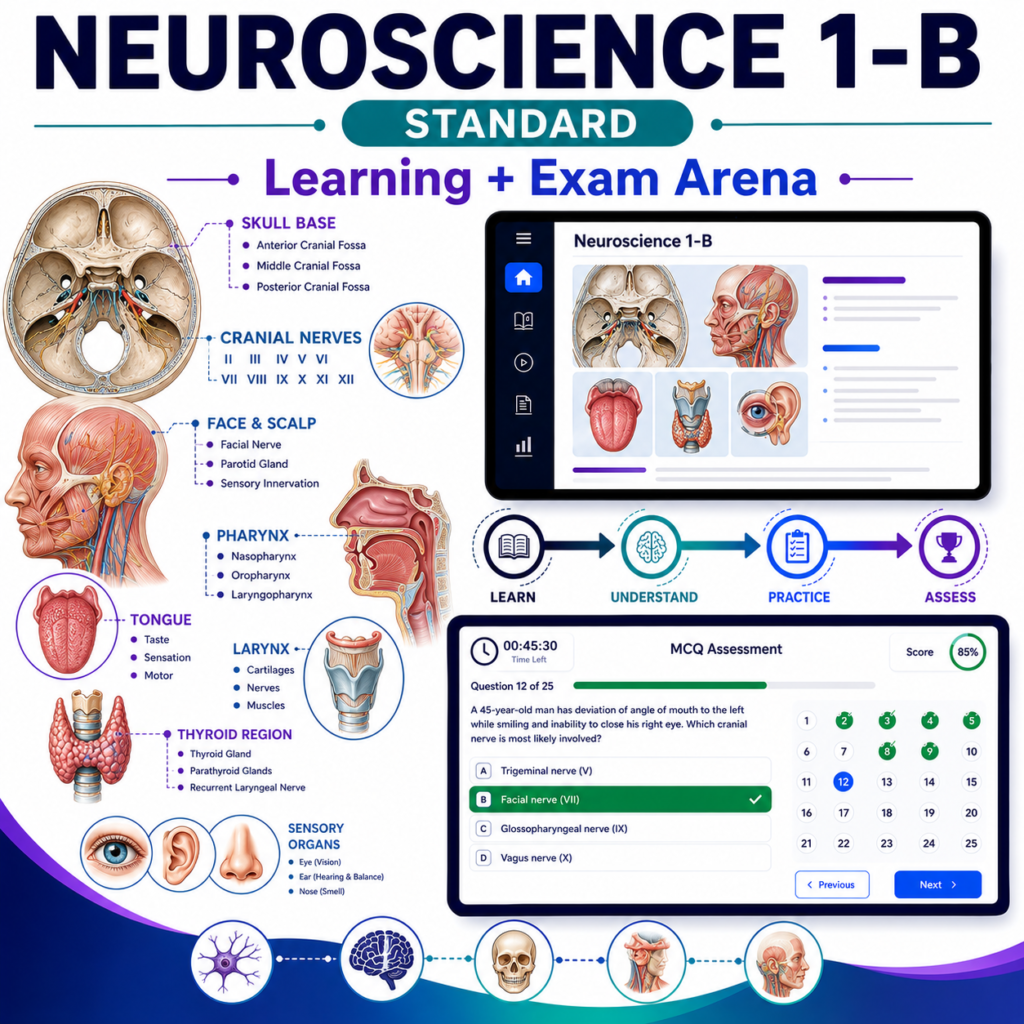 Neurosciences-1B Standard — Year 2 MBBS